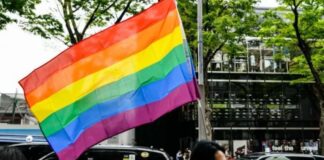 Japan’s same-sex marriage ban is constitutional, says Tokyo court