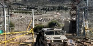 Ten killed in deadliest Israeli raid for months in southern Syria