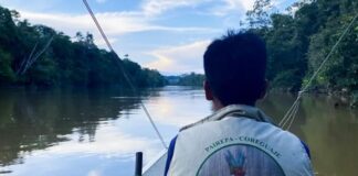 ‘In the Amazon, protection is spiritual’: Defying coca lords and loggers in the Amazon