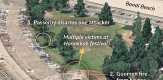 Dashcam video shows couple trying to stop gunman before being killed in Bondi attack