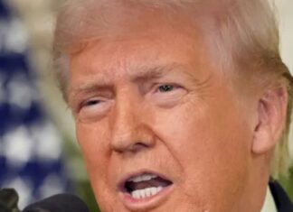 Trump Media to merge with nuclear fusion firm in $6bn deal