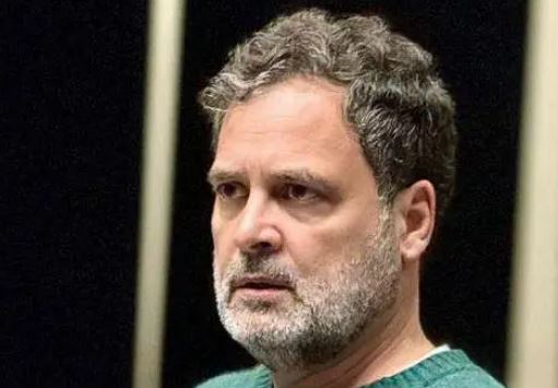 राहुल गांधी के ख़िलाफ़ विशेषाधिकार हनन का नोटिस नहीं देगी भाजपा, प्रियंका गांधी क्या बोलीं